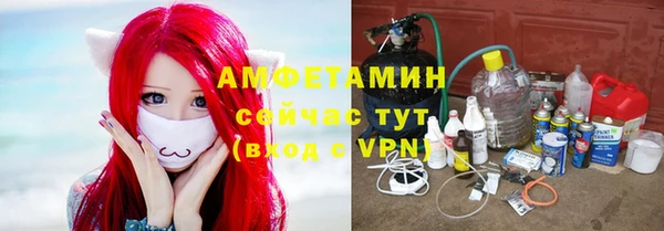 индика Алзамай